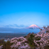 富士と桜