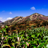 三山