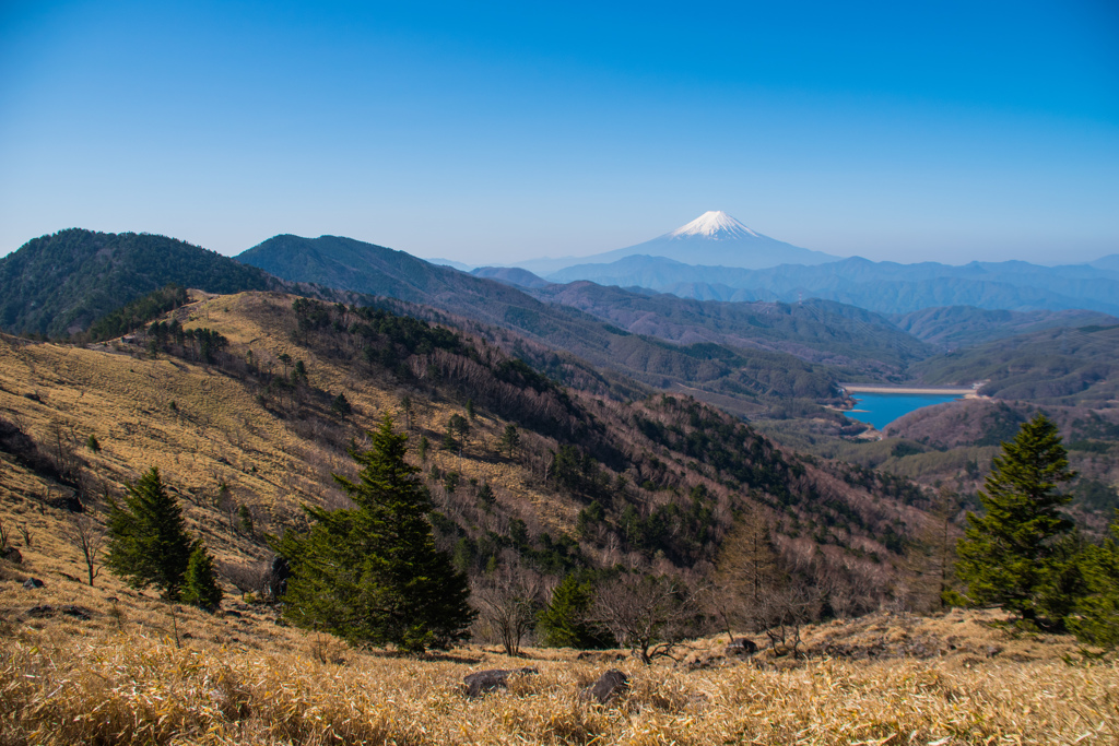 尾根と富士