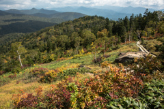 秋の山