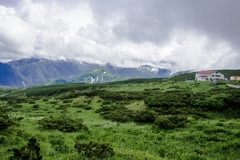 五色ヶ原の風景Ⅱ