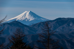 晴れた朝の富士 