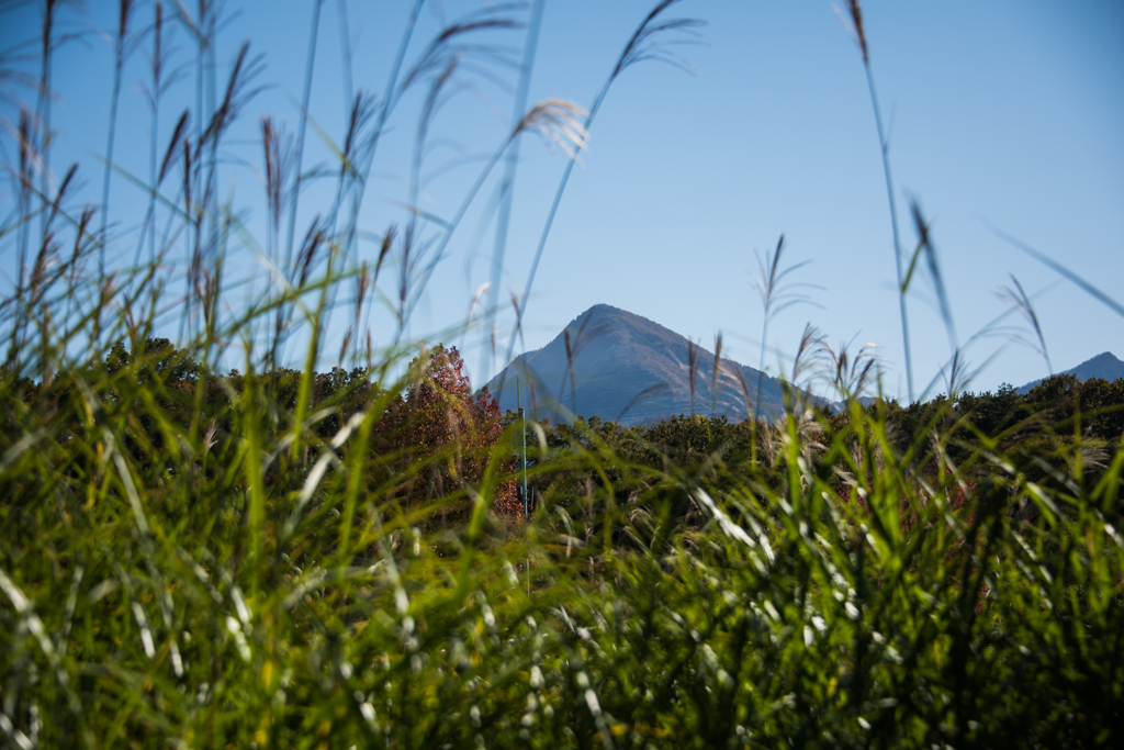 秋と武甲山