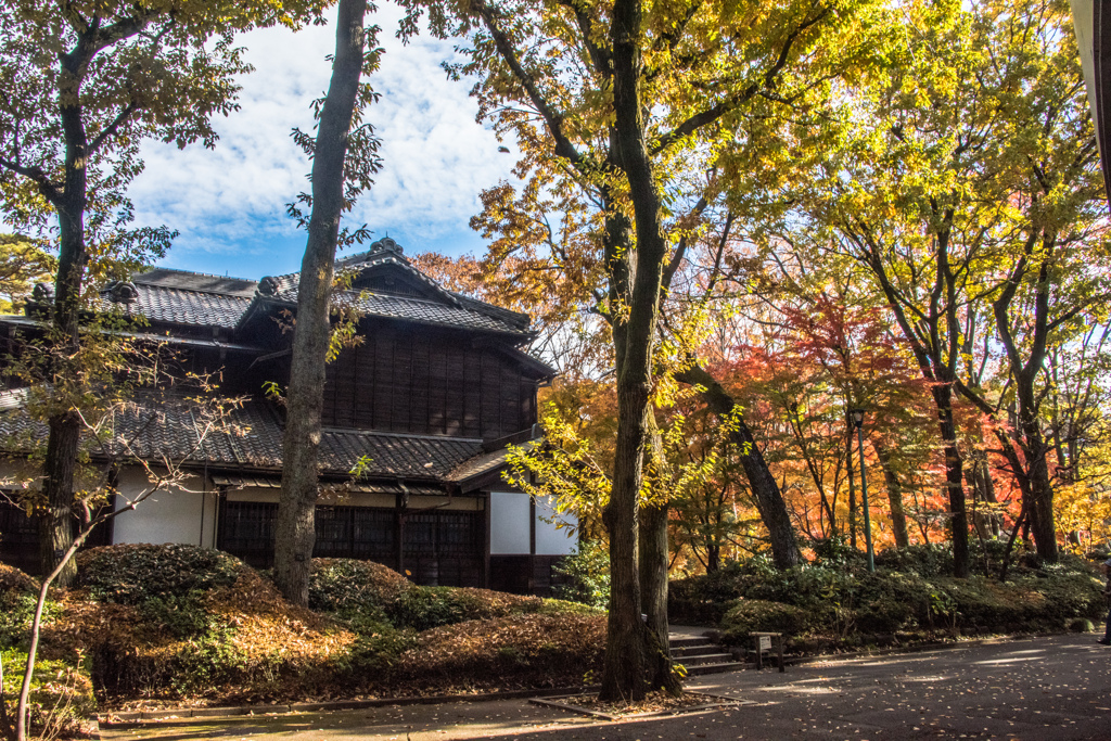 紅葉の庭と屋敷