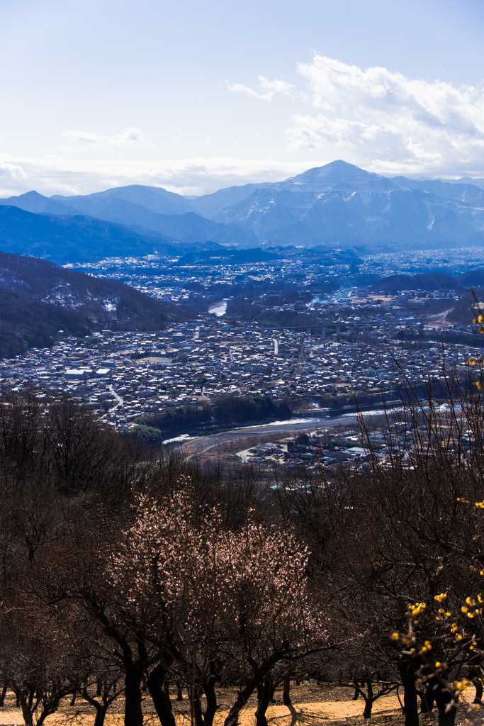 宝登山から