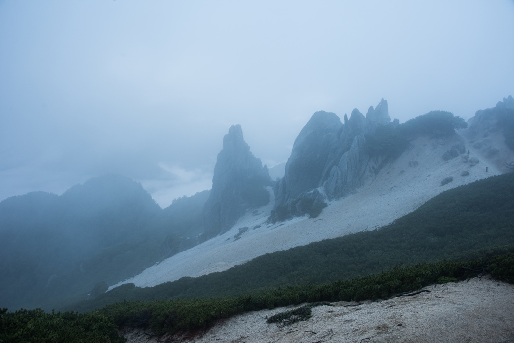 霧の中