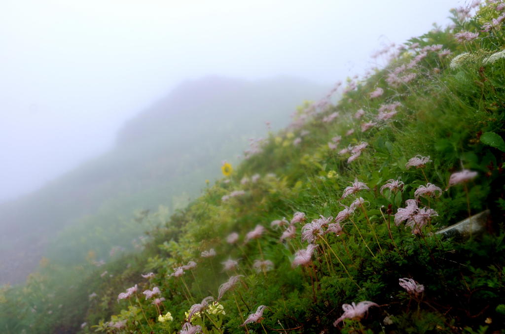 雨に濡れて