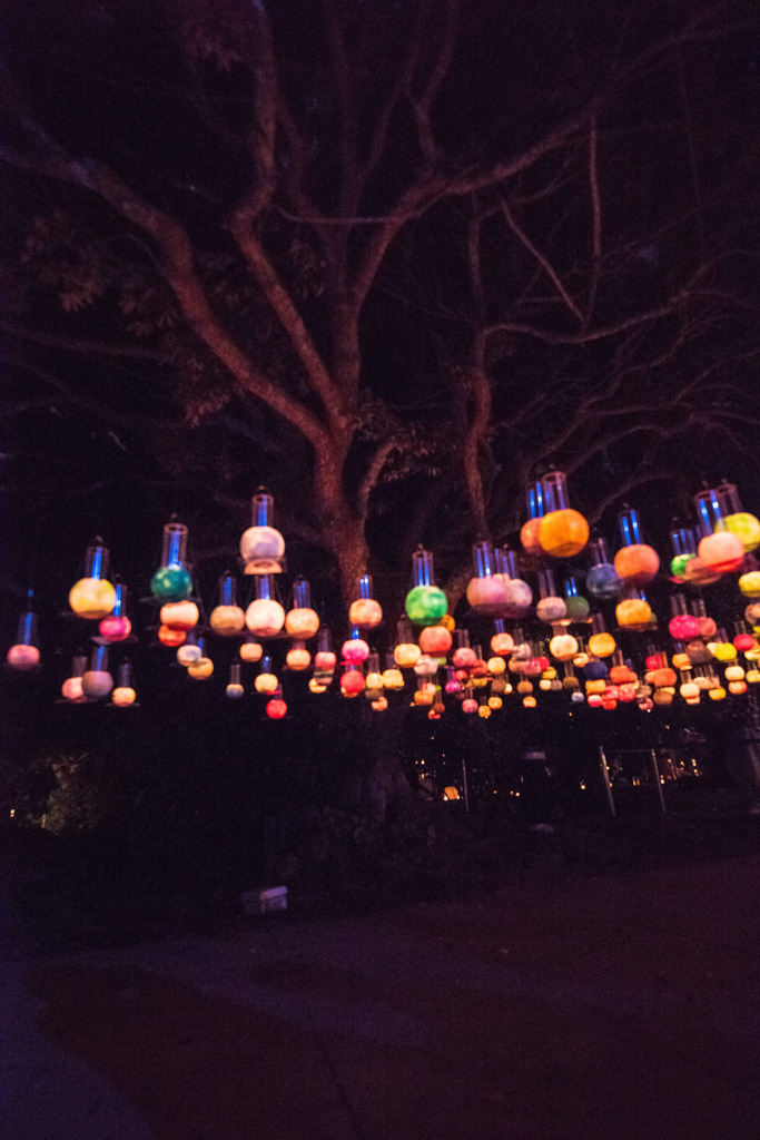 湘南キャンドル2025Ⅱ