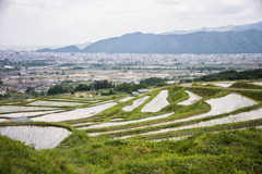 棚田のある風景Ⅱ