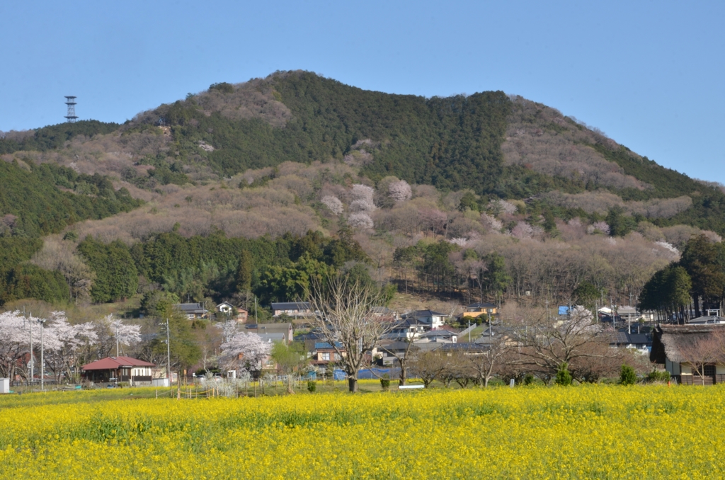 故郷の春Ⅰ