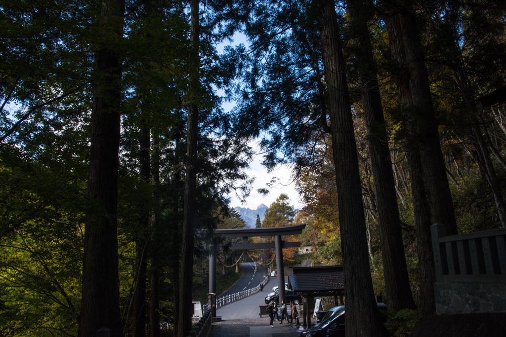 鳥居の上に