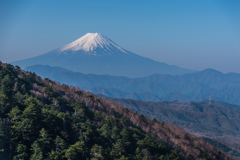 大菩薩峠をすぎると