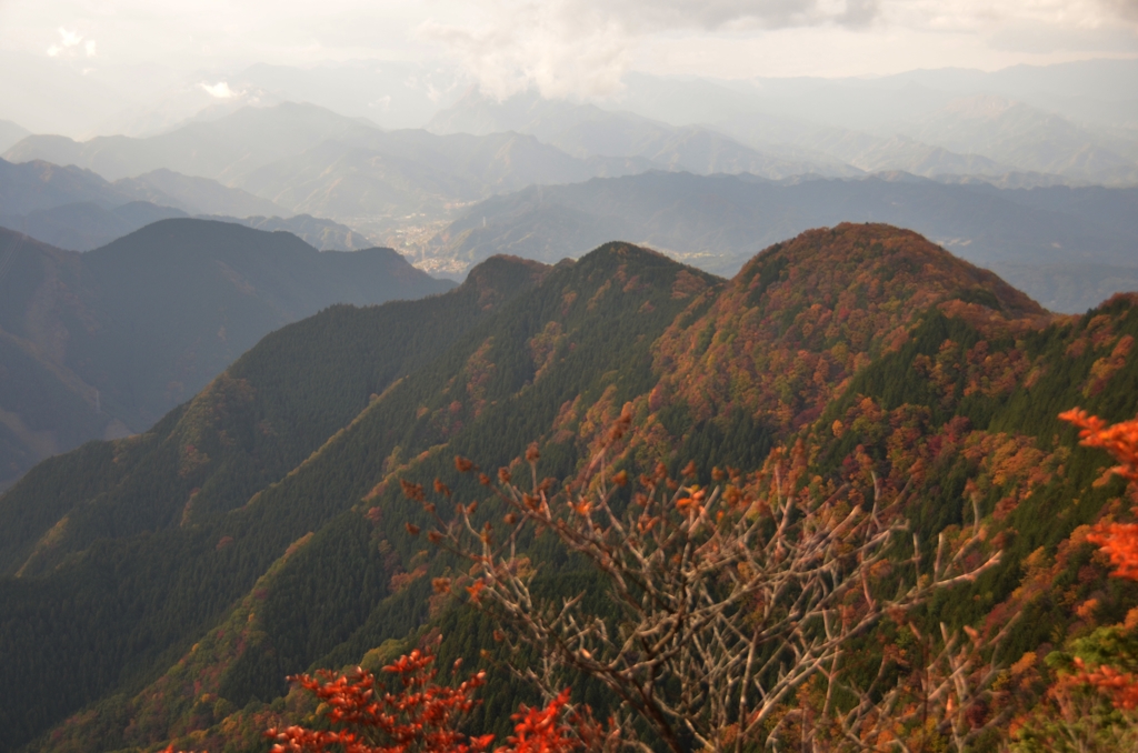 奥武蔵の山