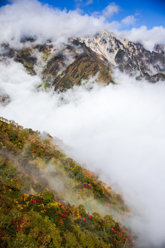 紅葉と白馬鑓