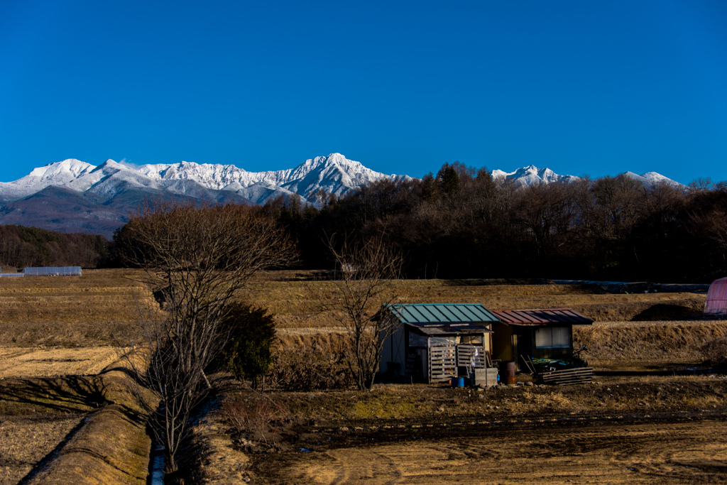 冬の田園と八ヶ岳