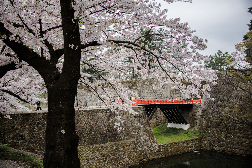 廊下橋