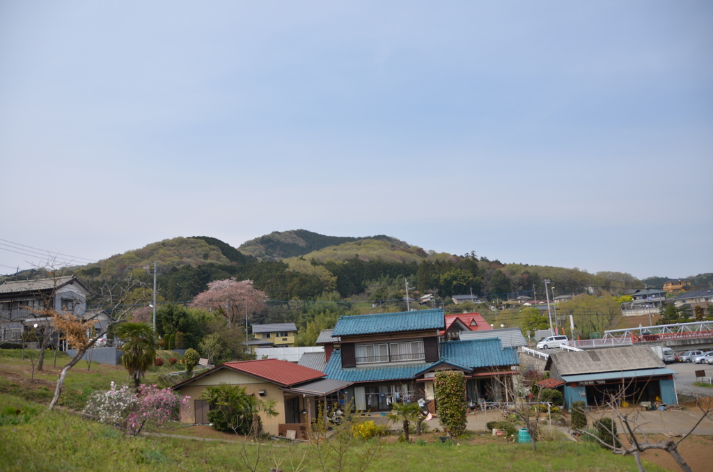 何気ない日々