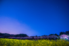 夜明け前