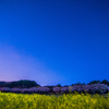 夜明け前