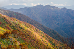 紅葉の山