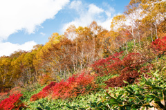 紅葉に染まる