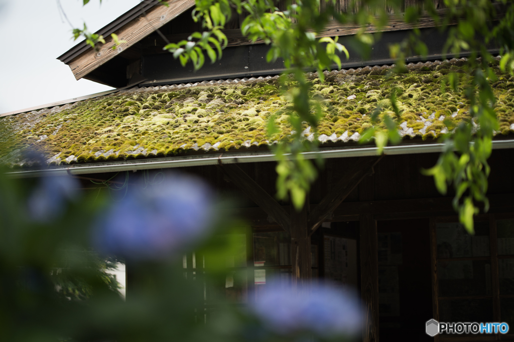 苔むす駅舎の屋根