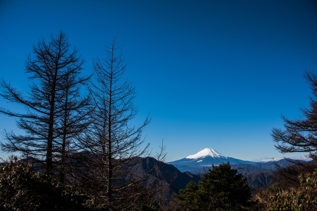 青空と