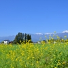 朝の安曇野