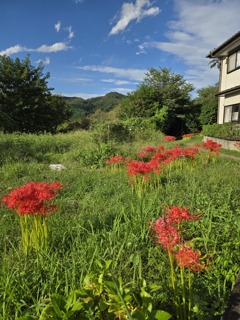 清秋の候