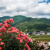 薔薇の向こうの風景Ⅱ