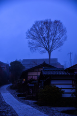 雨に煙るⅡ