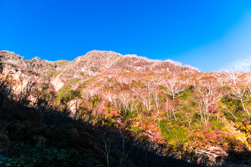 妙高山の紅葉