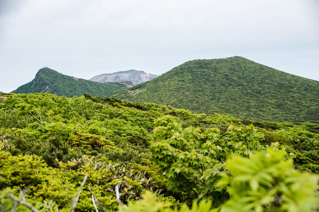 茶臼と朝日と1900m峰