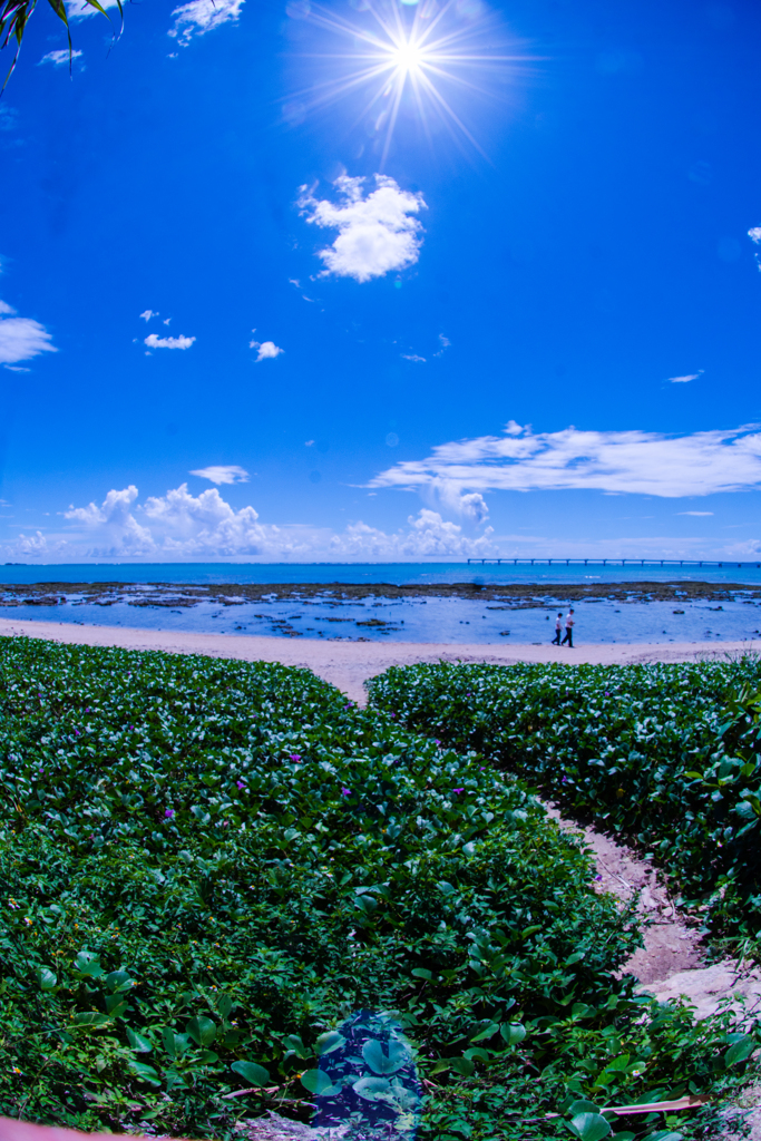 空と海と太陽と