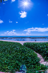 空と海と太陽と