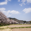 桜と日和田山