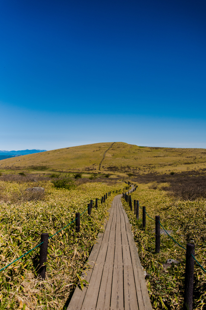 蝶々深山へ続く木道