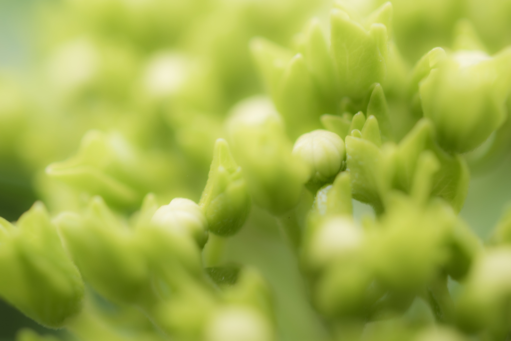 もうすぐ目をさまします