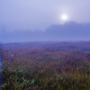 朝の尾瀬