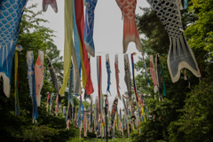 常念岳が見えればなあ