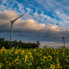 ひまわりと風車と雲とⅡ