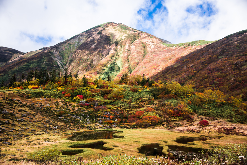火打山紅葉