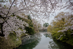 花筏の内堀