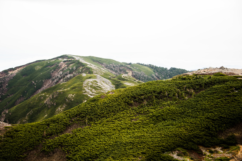 蝶ヶ岳山頂