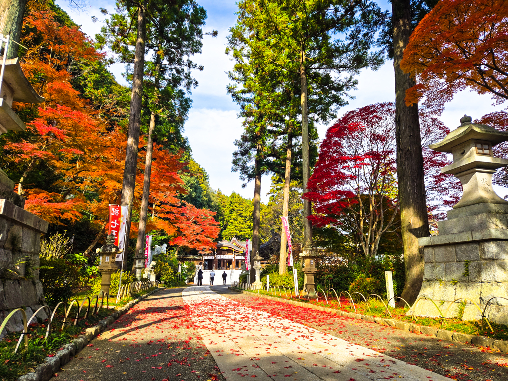 晩秋の参道