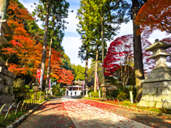 晩秋の参道