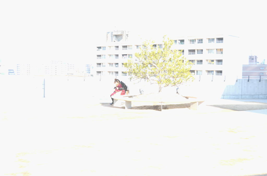 冬の陽だまりの中で