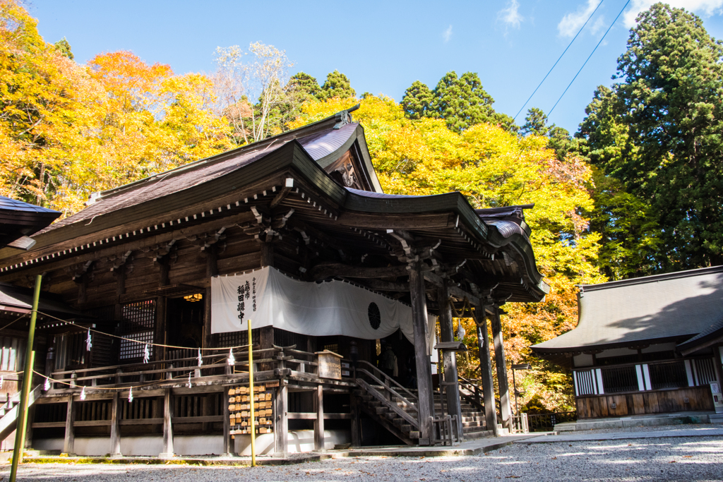 紅葉滴る