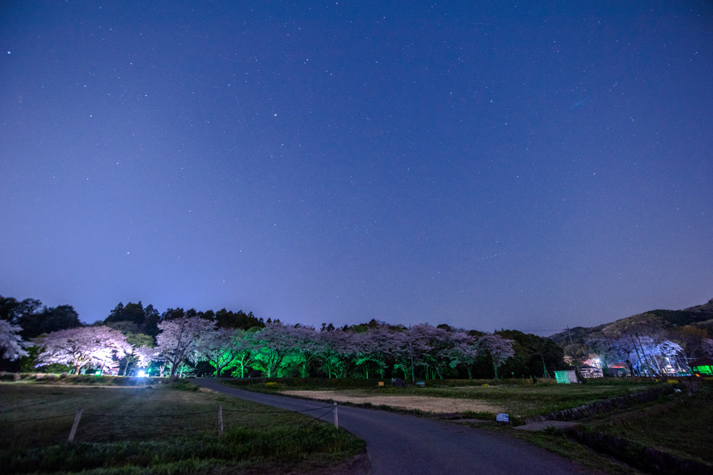 北の七つ星と