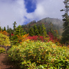 紅葉の登山道